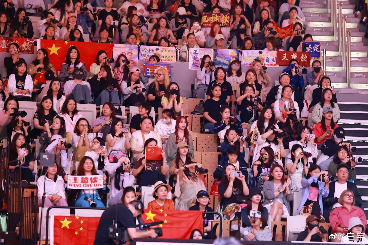 关于铁杆球迷聚集看台，为心爱球队加油助威的信息