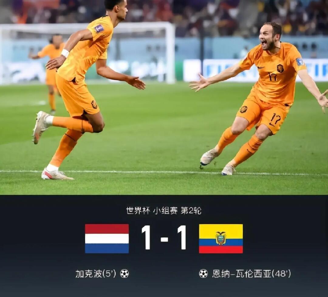荷兰队在对决中表现出众，轻松晋级下一轮
